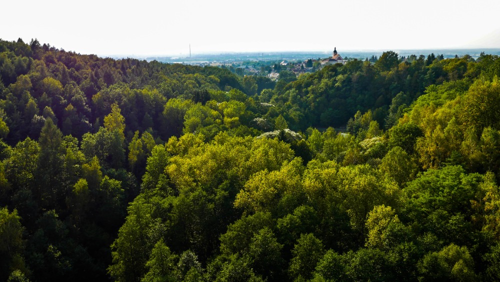 Pohled směrem na České Budějovice a kostel sv. Víta