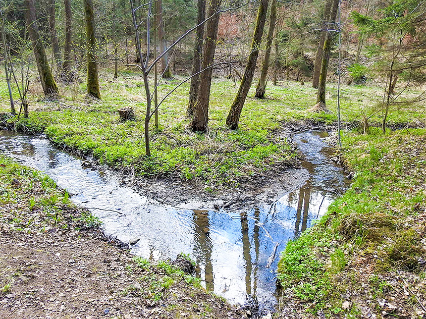 Meandr Rudolfovského potoka